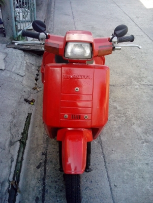 ขาย ป๊อป 3 ล้อ เจโลอัพ ขาย ป๊อป 3 ล้อ เจโลอัพ