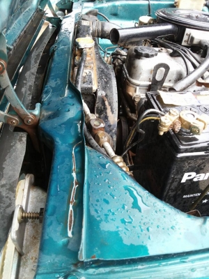 มาสด้าหัวโหนก