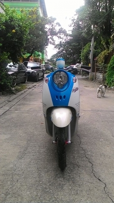 ขาย Fino เกจ์แยก ปี55 เดิมๆ เครื่องเงียบๆ ชุดข้างไม่ดัง  เอกสารครบ เล่ม ชุดโอน