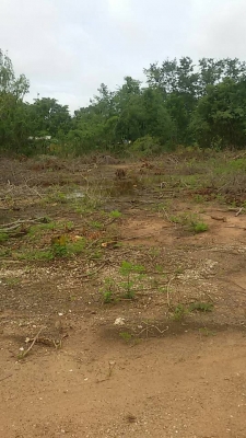 ขายด่วน!!! ที่ดินแปลงงามที่อ.ตาพระยา จ.สระแก้ว