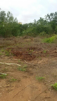 ขายด่วน!!! ที่ดินแปลงงามที่อ.ตาพระยา จ.สระแก้ว ขายด่วน!!! ที่ดินแปลงงามที่อ.ตาพระยา จ.สระแก้ว