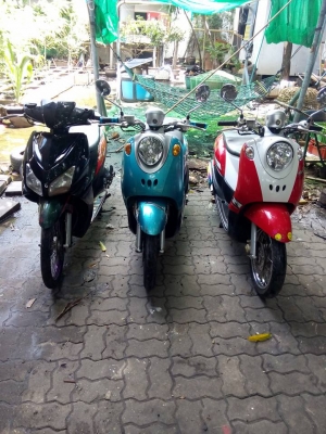 ขายลูกเดียวเหมาๆ3คันfino2คันclick1คัน มีเล่มเอกสารครบ