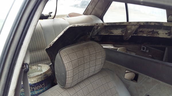 ขายมิตซู แชมป์