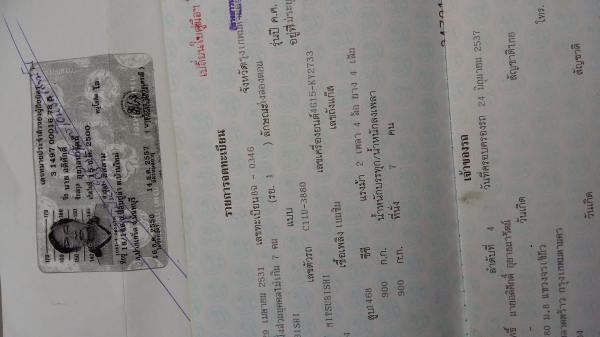 ขายมิตซู แชมป์