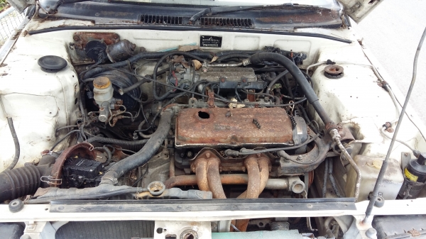 ขายมิตซู แชมป์