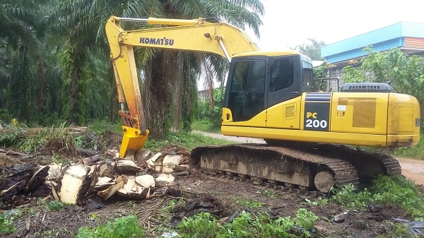 ขาย รับทำ บุ้งกี้ สับต้นปาล์ม แบคโฮ ทุกรุ่น ครับ