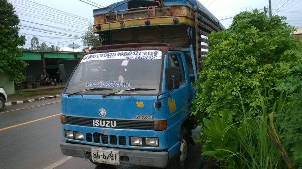 ขาย 6 ล้อ ISUZU NKR เครื่อง 4BC2 100 แรงม้า คัสซีสวยตลอดเส้น ทะเบียนพร้อมโอน ราคาต่อรองได้