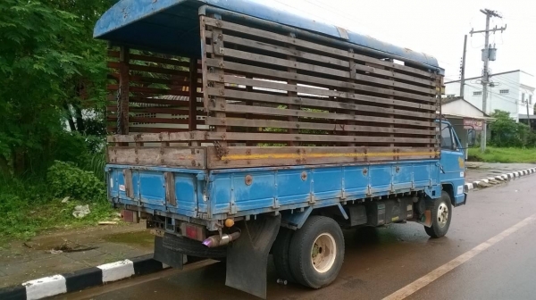 ขาย 6 ล้อ ISUZU NKR เครื่อง 4BC2 100 แรงม้า คัสซีสวยตลอดเส้น ทะเบียนพร้อมโอน ราคาต่อรองได้