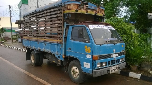 ขาย 6 ล้อ ISUZU NKR เครื่อง 4BC2 100 แรงม้า คัสซีสวยตลอดเส้น ทะเบียนพร้อมโอน ราคาต่อรองได้