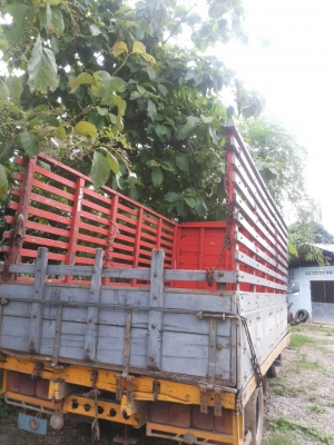 ลดราคากะบะไม้6ล้อฮีโน่km777สภาพใช้งานไดดี