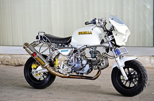 มังกี้ กอลิล่า แต่งๆๆ ลดราคาทุกรุ่นและมีของแถมอีกมากมาย  ด่วนๆๆ ลดๆๆ   เริ่มต้นราคา ที 25900