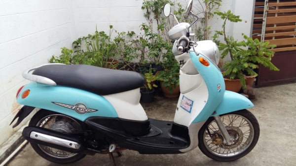 ฟีโน่คลาสสิคเดิมๆ