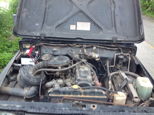 คาริเบี้ยนปี36 คาริเบี้ยนปี36