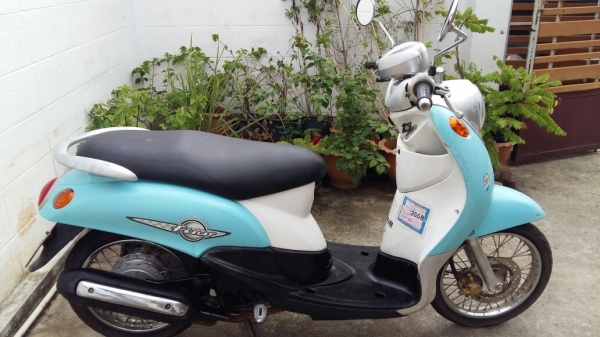 ฟีโน่เดิมๆค่ะ