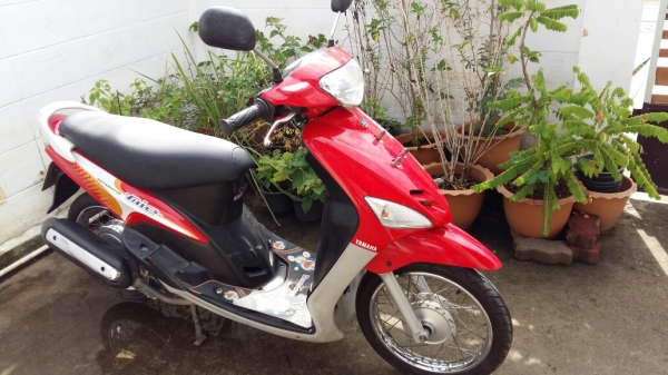 มีโอดั๊มเบรคเดิมๆ