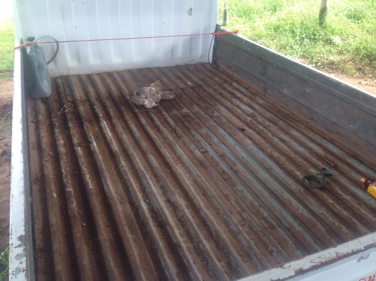 ขายครับกะป้องามๆเครื่องดีคัสซีงามๆ4เกียร์เดินหน้าทะเบียนขาดหลายปีชุดโอนพร้อมครับ