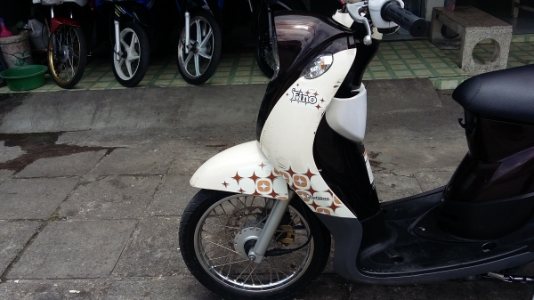 ฟีโน่ปี54เกแยก ฟีโน่ปี54เกแยก