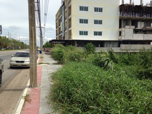 ขายที่ดินแยกบางคูวัด ติดถนน 307