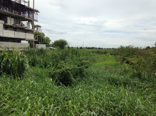 ขายที่ดินแยกบางคูวัด ติดถนน 307