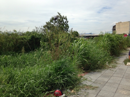 ขายที่ดินแยกบางคูวัด ติดถนน 307