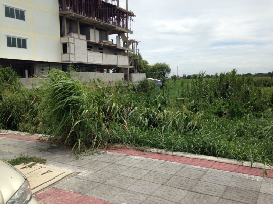 ขายที่ดิน ติดถนน 307 แยกบางคูวัด ปทุมธานี