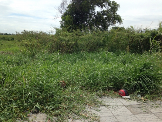 ขายที่ดิน ติดถนน 307 แยกบางคูวัด ปทุมธานี