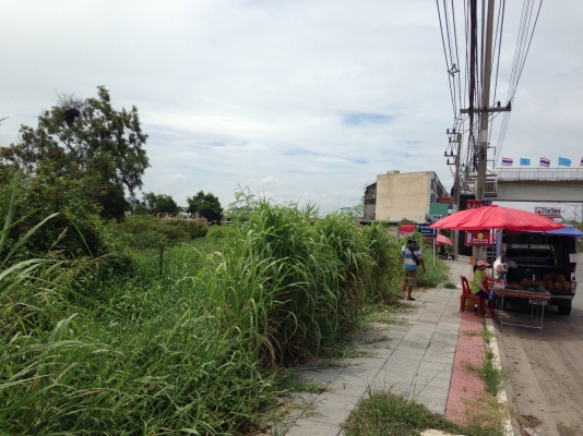 ขายที่ดิน ติดถนน 307 แยกบางคูวัด ปทุมธานี