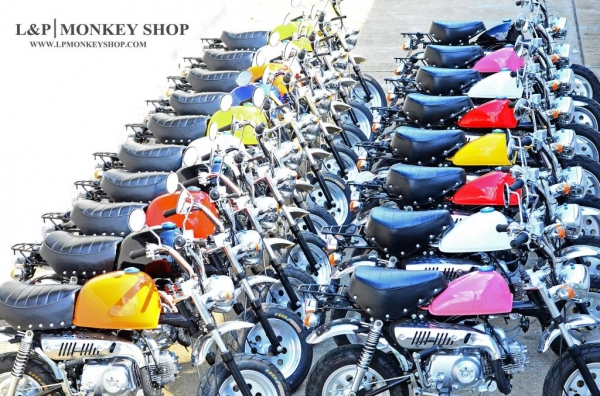 มังกี้ กอลิล่า เดิม  **ต้อนรับวันแม่** แต่งๆๆ ลดราคาทุกรุ่นและมีของแถมอีกมากมาย  ด่วนๆๆ ลดๆๆ   เริ่มต้นราคา ที 22999