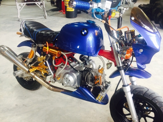 ขาย กอลิล่าเครื่อง 110 อินวอย แต่งเต็มสตีม