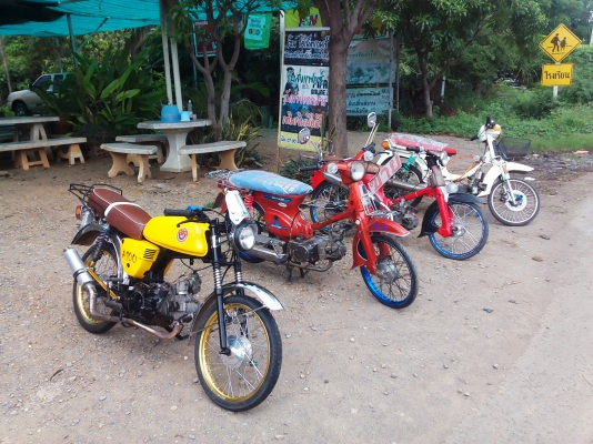 ขาย A100 เครื่องเวฟ125 ลูก59 เเคมซิ่ง (มีเล่มทะเบียนโครง+ใบซื้อขายเครื่อง) ค่าตัว 9500 บาท สนใจโทร.089-8054390 โอ๋ อยู่จังหวัด ลพบุรี