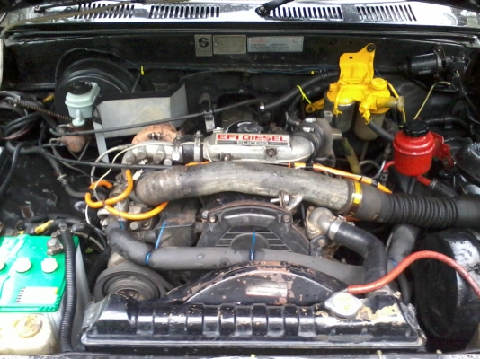 ขาย ไมตี้ โปร่ง หน้า หลัง คับ