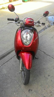 honda scoopy 110 i