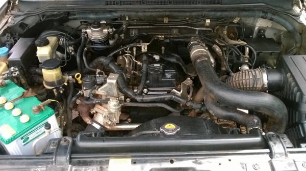 ขาย NISSAN NAVARA ตอนเดียว คัสซีสวย เครื่องดี แอร์เย็น ทะเบียนพร้อมโอนครับ