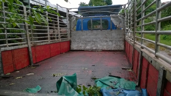 ขาย 6 ล้อ ISUZU NKR ปี 38 เครื่อง 4BE1 110 แรงม้า คัสซีสวยตลอดเส้น ทะเบียนพร้อมโอน ราคาต่อรองได้ครับ