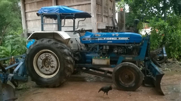 ขายรถไถ FORD 5500 เอกสารเล่มทะเบียน เฟืองท้าย 6600 สภาพใช้งานได้ดี อุปกรณ์มีผาน 3 และผานดันหน้า ราคาต่อรองได้ครับ