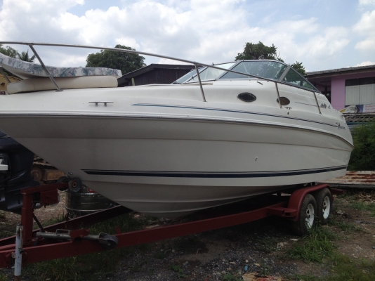 ขายเรือ searay240 Sundancer 24 ฟุต