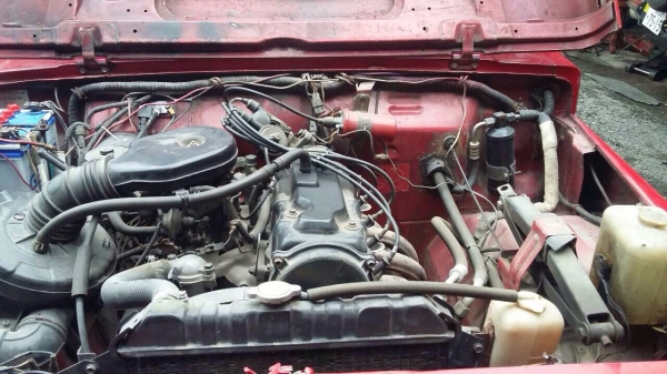 คาริเบียนปี33 คาริเบียนปี33