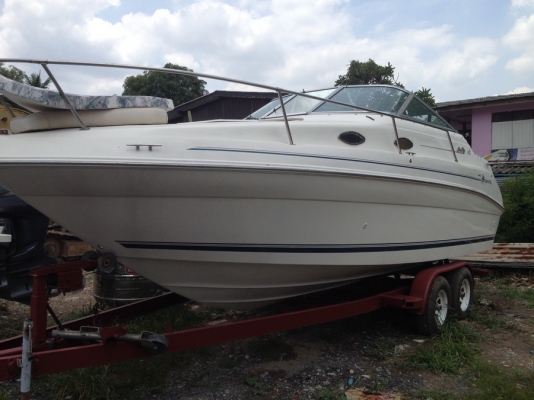 ขายเรือ searay240 Sundancer 24 ฟุต ขายถูกๆ
