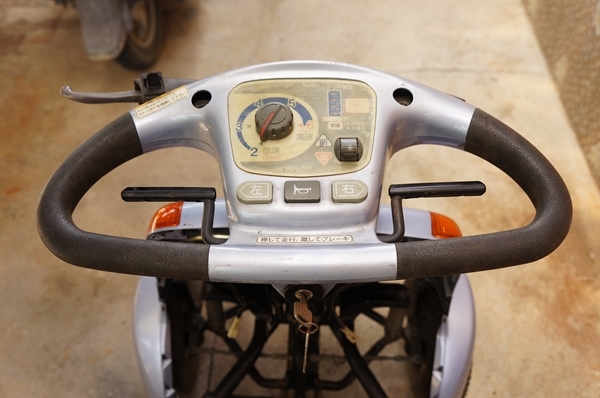 รถไฟฟ้า Suzuki