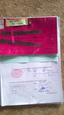 ขาย 6 ล้อร้อกกี้