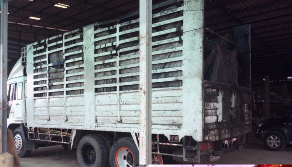 HINO 10ล้อ เพลาเดียว หัวเปอร์เฟียเครื่อง195 แรง เบรคจิ๊ฟฟี่ พวงมาลัยพาว์เวอร์  เครื่องดี ครัทซีสวย รถใช้งานอยู่  ภาษีเต็ม ขายตามสภาพ  ราคา 530,000 บาท (ศุภากร 081-1903107,081-4252943)