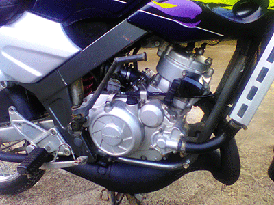 นำเสนอวิคเตอร์ 10800