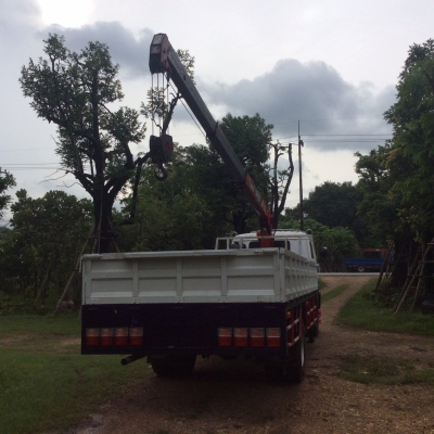 ขายรถหกล้อใหญ่ เครื่อง195แรง รถห้างแท้ ป้ายแดงมือเดียว ติดเครน3.6ตันปั๊ม5ตันแล้ว ขายรถหกล้อใหญ่ เครื่อง195แรง รถห้างแท้ ป้ายแดงมือเดียว ติดเครน3.6ตันปั๊ม5ตันแล้ว