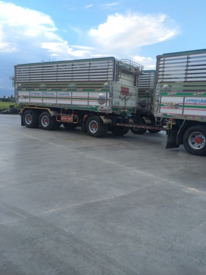 ฝากขายรถฮีโนเม๊กก้า320ปี50เนียมดั้มแม่ลูกอู่สสมบัติ