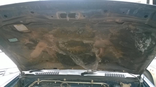 ขาย NISSAN FRONTIER ปี 2006/2549 คัสซีสวยตลอดเส้น เครื่อง TD27 แน่นไม่หลวมไม่ไอ แอร์เย็น ทะเบียนพร้อมโอน ขาย NISSAN FRONTIER ปี 2006/2549 คัสซีสวยตลอดเส้น เครื่อง TD27 แน่นไม่หลวมไม่ไอ แอร์เย็น ทะเบียนพร้อมโอน