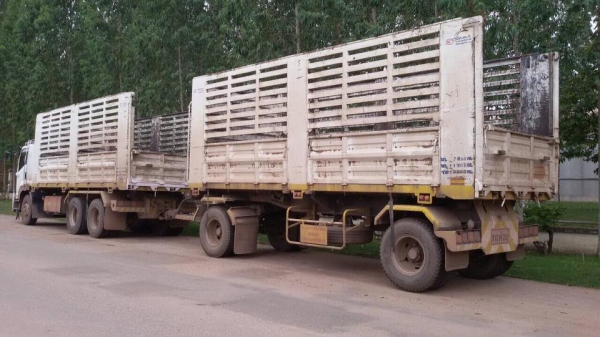 ขายรถสิบล้อ Isuzu DECA FVZ 300 คอกเกษตรดั้มเหล็ก อู่ SKT แม่ลูก ปี55 รถสวยพร้อมใช้งาน ราคาต่อรองได้