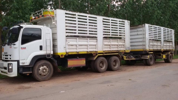 ขายรถสิบล้อ Isuzu DECA FVZ 300 คอกเกษตรดั้มเหล็ก อู่ SKT แม่ลูก ปี55 รถสวยพร้อมใช้งาน ราคาต่อรองได้