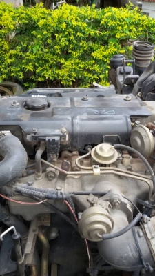 ขาย ISUZU NPR 175 แรง ขาย ISUZU NPR 175 แรง