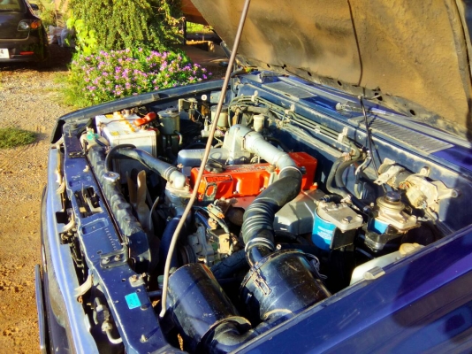 ขายรถนิสสันบิ๊กเอ็ม คิงแค๊ป