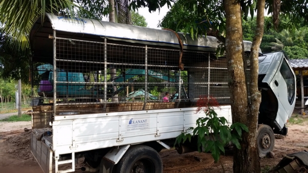 ขาย6ล้อ nkr130 turbo ปี2005 รถสวยพร้อมใช้เครื่องแน่นดีเดิมๆ ขาย6ล้อ nkr130 turbo ปี2005 รถสวยพร้อมใช้เครื่องแน่นดีเดิมๆ